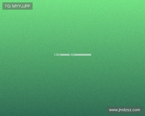 CSGO热议：深入分析LNG战队在赛事中的战术转型与表现