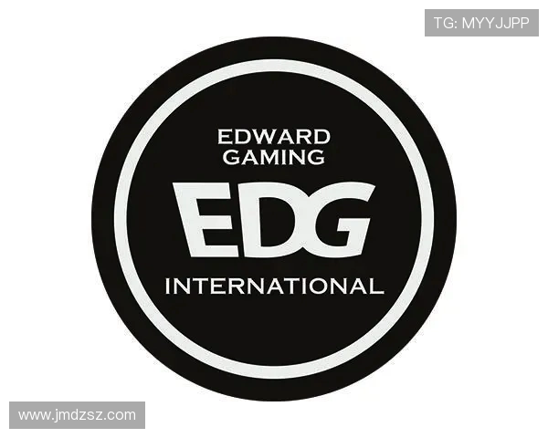 EDG战队耐力对比深度解析与战术探讨 EDG战队耐力对比深度解析与战术探讨