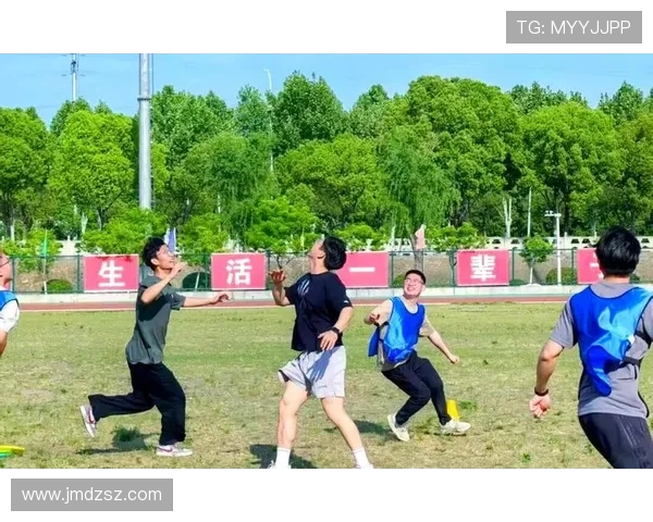 南京飞盘队的节奏揭秘：探索飞盘运动的魅力与团队精神