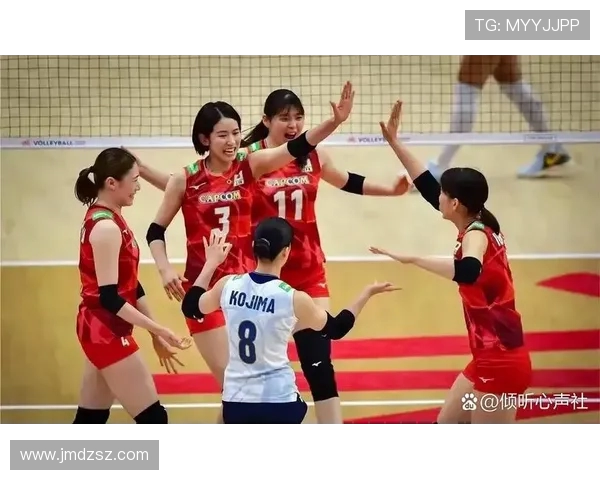 成都排球队以66分领跑欧锦赛积分榜展现强劲实力